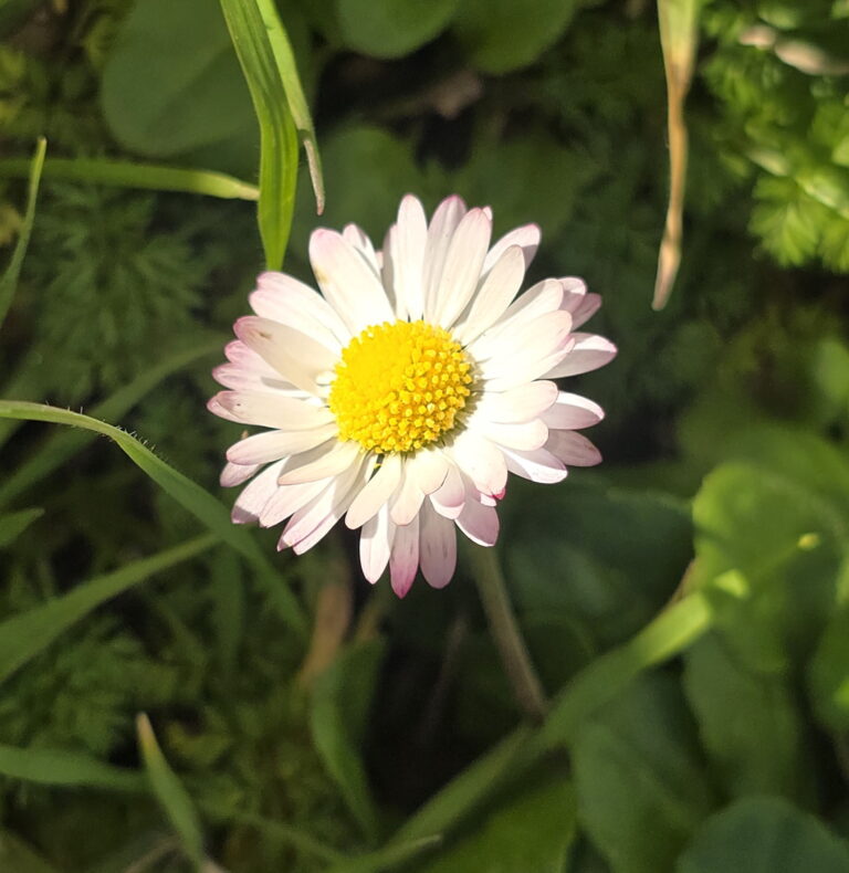 Lire la suite à propos de l’article csb – programme avril 2026