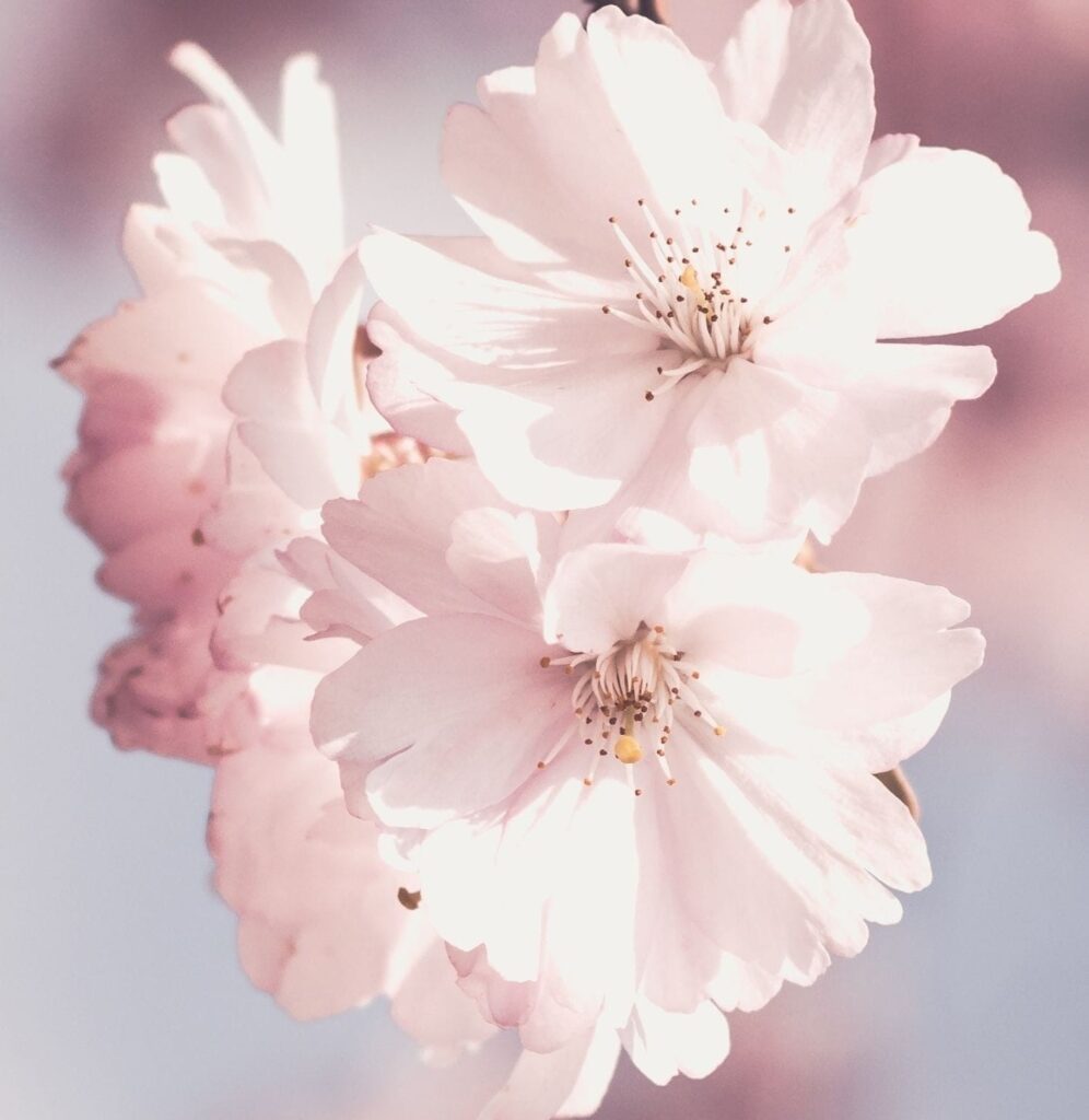 csb – programme vacances de printemps 2026